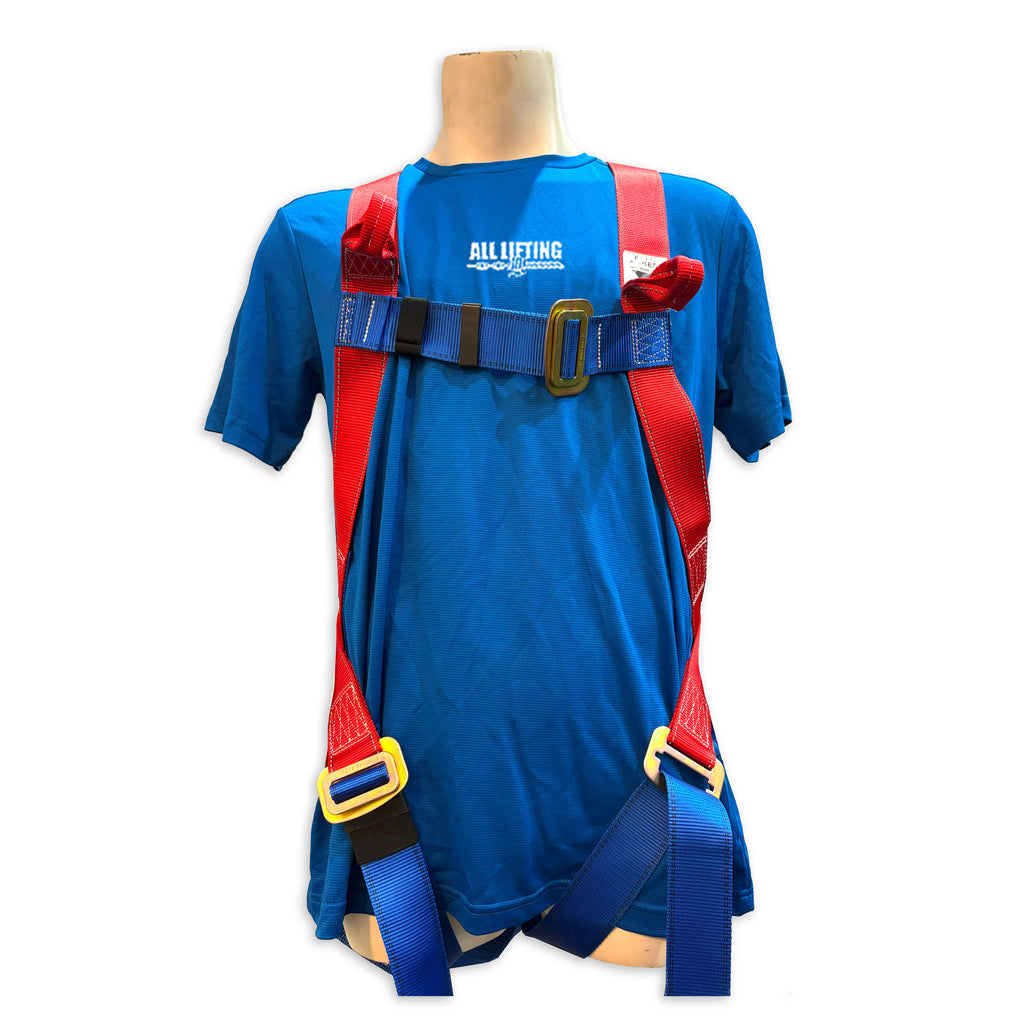 Harness Matching Loop Standard Harness c/w Confined Space Loops | All Lifting