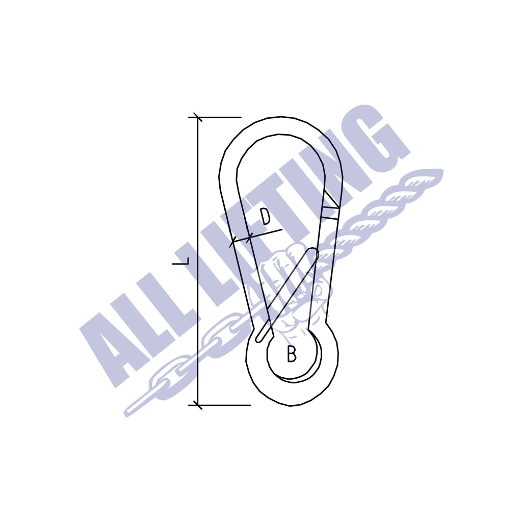 Stainless Steel Spring Hook with Safety Bar | All Lifting